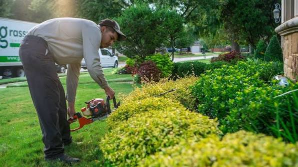 Complete Debris Removal
